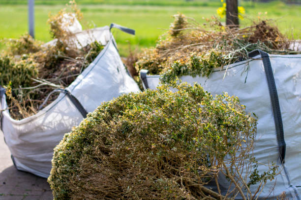 Best Residential Junk Removal  in Fruitland Park, FL